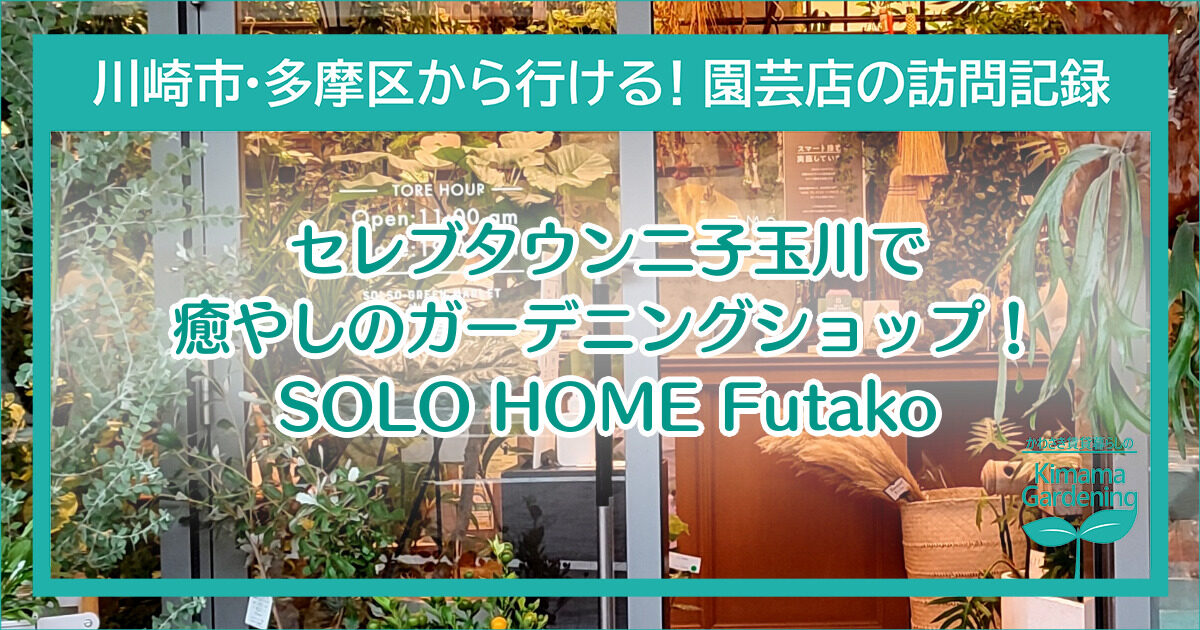 口コミ Solso Home Futakoは セレブタウン二子玉川の園芸オアシス 置くだけでサマになるグリーンが目白押し かわさき賃貸暮らしの気ままガーデニング